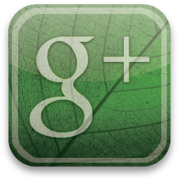 Stay Up to Date on Google +